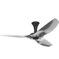 Medium Fans at Bright Light Design Center