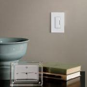 Lutron Dimmers at Bright Light Design Center